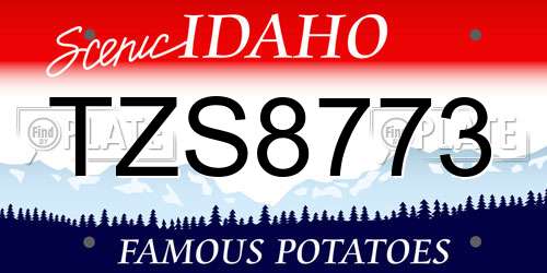 TZS8773 Idaho License Plate