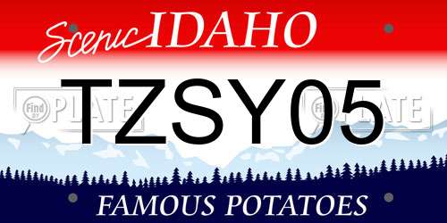 TZSY05 Idaho License Plate