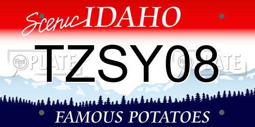 TZSY08 Idaho License Plate