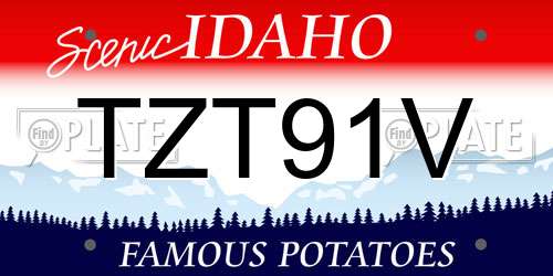 TZT91V Idaho License Plate