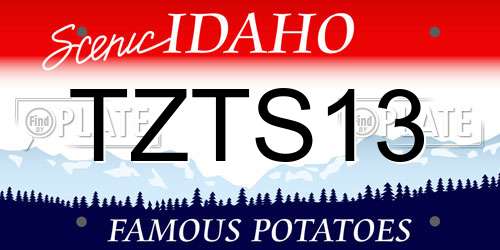 TZTS13 Idaho License Plate