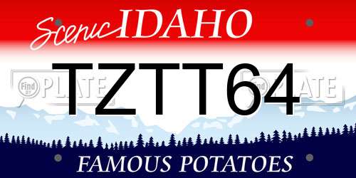 TZTT64 Idaho License Plate