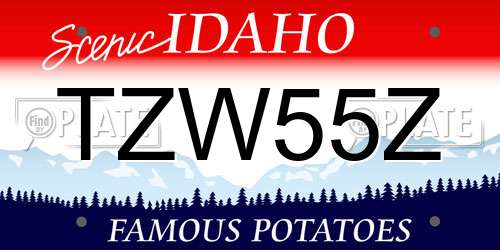 TZW55Z Idaho License Plate