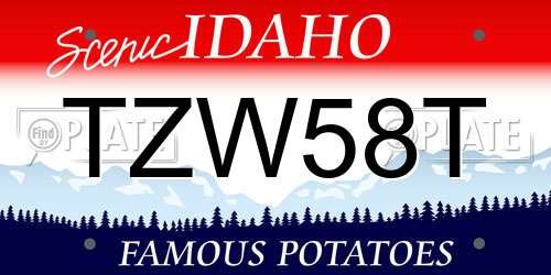 TZW58T Idaho License Plate