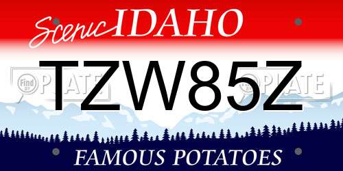 TZW85Z Idaho License Plate