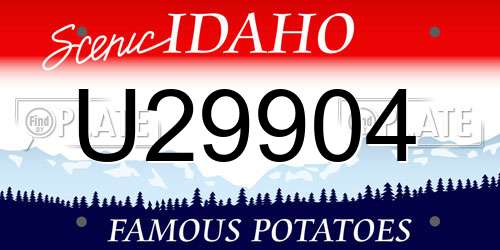 U29904 Idaho License Plate