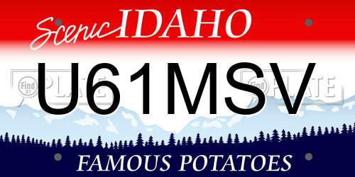 U61MSV Idaho License Plate
