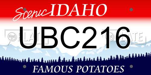UBC216 Idaho License Plate