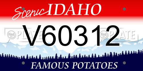 V60312 Idaho License Plate