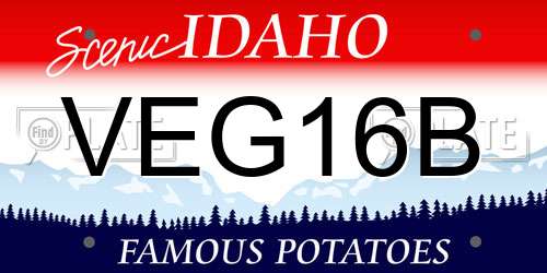 VEG16B Idaho License Plate