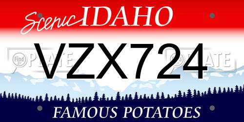 VZX724 Idaho License Plate
