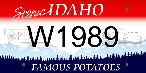 W1989 Idaho License Plate