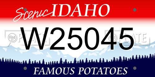 W25045 Idaho License Plate