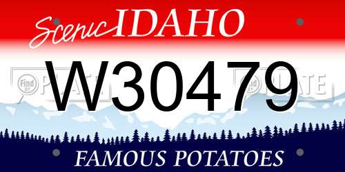 W30479 Idaho License Plate