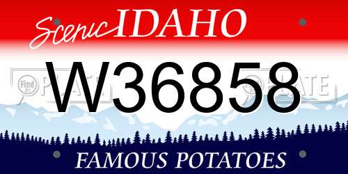 W36858 Idaho License Plate