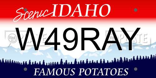 W49RAY Idaho License Plate