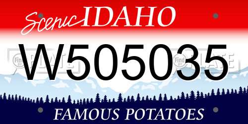 W505035 Idaho License Plate