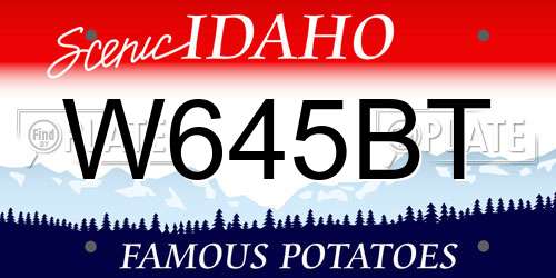 W645BT Idaho License Plate