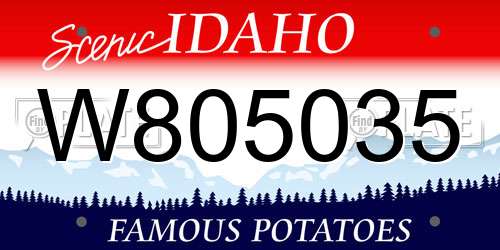 W805035 Idaho License Plate