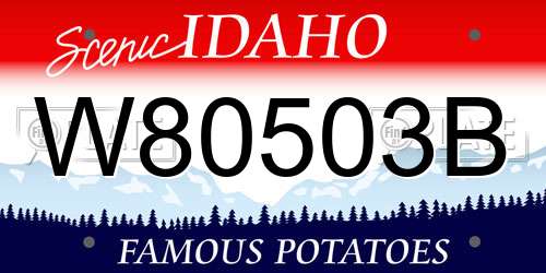 W80503B Idaho License Plate