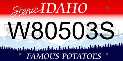 W80503S Idaho License Plate