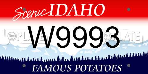 W9993 Idaho License Plate
