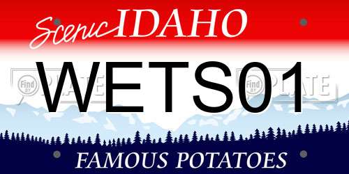 WETS01 Idaho License Plate