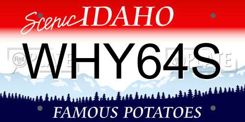 WHY64S Idaho License Plate