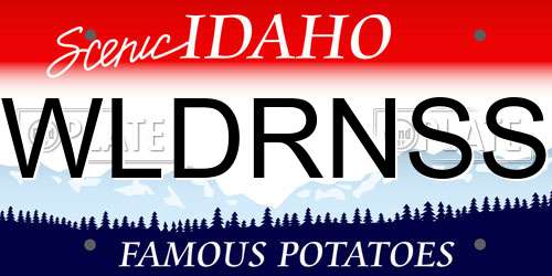 WLDRNSS Idaho License Plate