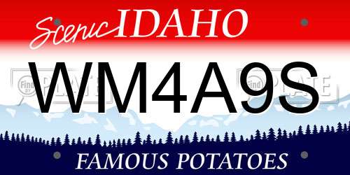 WM4A9S Idaho License Plate
