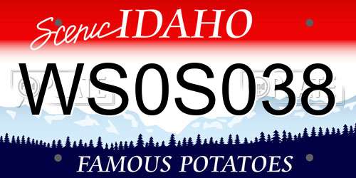 WS0S038 Idaho License Plate