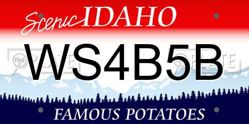 WS4B5B Idaho License Plate