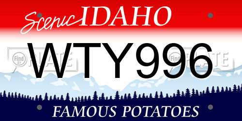 WTY996 Idaho License Plate