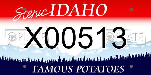 X00513 Idaho License Plate