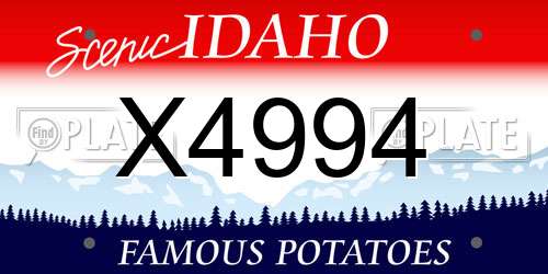 X4994 Idaho License Plate