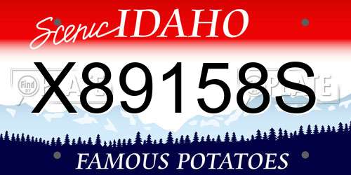 X89158S Idaho License Plate