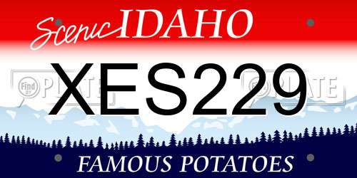 XES229 Idaho License Plate