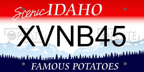 XVNB45 Idaho License Plate
