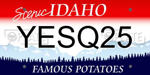 YESQ25 Idaho License Plate