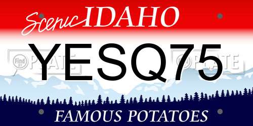 YESQ75 Idaho License Plate