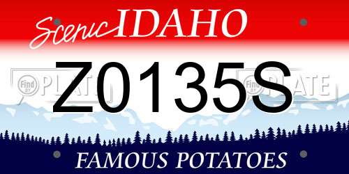Z0135S Idaho License Plate