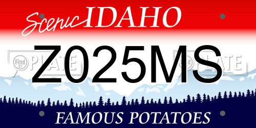 Z025MS Idaho License Plate