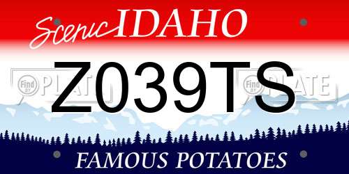 Z039TS Idaho License Plate