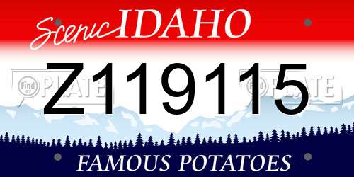 Z119115 Idaho License Plate