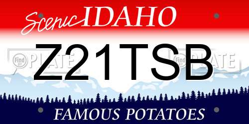 Z21TSB Idaho License Plate