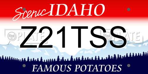 Z21TSS Idaho License Plate