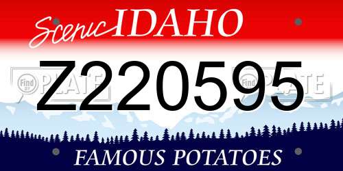 Z220595 Idaho License Plate