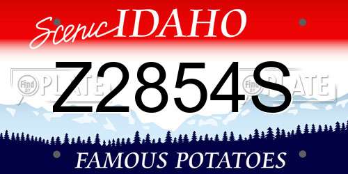 Z2854S Idaho License Plate