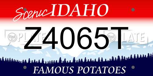 Z4065T Idaho License Plate