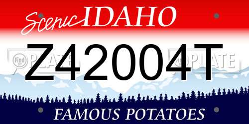 Z42004T Idaho License Plate